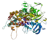 ATPase Class VI Type 11B (ATP11B)