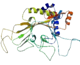 ATPase Class VI Type 11C (ATP11C)