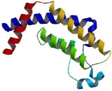 ATPase Family, AAA Domain Containing Protein 2B (ATAD2B)