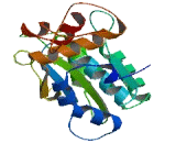 ATPase Family, AAA Domain Containing Protein 3B (ATAD3B)