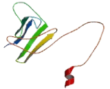 ATPase Family, AAA Domain Containing Protein 4 (ATAD4)