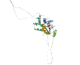 ATPase Type 13A2 (ATP13A2)