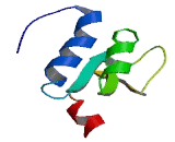 ATPase Type 13A4 (ATP13A4)