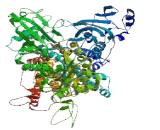 ATPase Type 13A5 (ATP13A5)