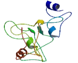 AarF Domain Containing Kinase 5 (ADCK5)