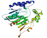 Abhydrolase Domain Containing Protein 12B (ABHD12B)