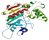 Abhydrolase Domain Containing Protein 15 (ABHD15)