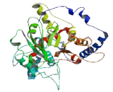 Abhydrolase Domain Containing Protein 16B (ABHD16B)