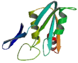 Abhydrolase Domain Containing Protein 2 (ABHD2)