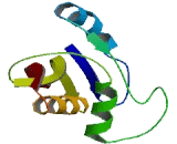 Abhydrolase Domain Containing Protein 4 (ABHD4)