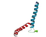 Achaete Scute Complex Like Protein 5 (ASCL5)