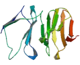 Achalasia, Adrenocortical Insufficiency, Alacrimia (AAAS)