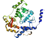 Acid Trehalase Like Protein 1 (ATHL1)