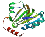 Acireductone Dioxygenase 1 (ADI1)