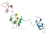 Acrosomal Vesicle Protein 1 (ACRV1)