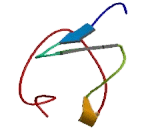 Actin Binding LIM Protein 1 (ABLIM1)