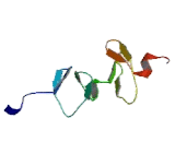 Actin Binding LIM Protein 2 (ABLIM2)