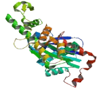 Actin Like Protein 9 (ACTL9)