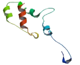 Actin Related Protein 10 (ACTR10)