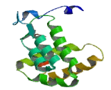 Actin Related Protein 2/3 Complex Subunit 5 (ARPC5)