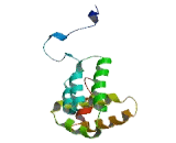 Actin Related Protein 2/3 Complex Subunit 5 Like Protein (ARPC5L)