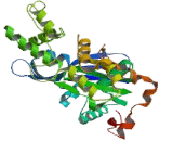 Actin Related Protein T2 (ACTRT2)