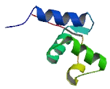 Activating Signal Cointegrator 1 Complex Subunit 2 (ASCC2)