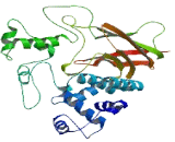 Activating Signal Cointegrator 1 Complex Subunit 3 (ASCC3)