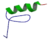 Activity Dependent Neuroprotector Protein 2 (ADNP2)