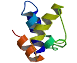 Acyl Coenzyme A Binding Domain Containing Protein 3 (ACBD3)