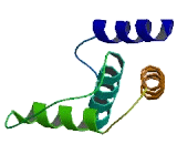 Acyl Coenzyme A Binding Domain Containing Protein 4 (ACBD4)