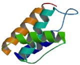 Acyl Coenzyme A Binding Domain Containing Protein 5 (ACBD5)