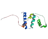 Acyl Coenzyme A Binding Domain Containing Protein 6 (ACBD6)