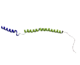 Acyl Coenzyme A Synthetase Bubblegum Family, Member 2 (ACSBG2)