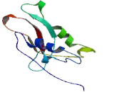 Acyl Coenzyme A Synthetase Family, Member 2 (ACSF2)