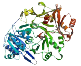 Acyl Coenzyme A Synthetase Medium Chain Family, Member 5 (ACSM5)