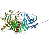 Acyl Coenzyme A Thioesterase 2 (ACOT2)