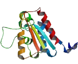 Acyl Coenzyme A Thioesterase 6 (ACOT6)