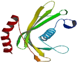 Acyl Coenzyme A Thioesterase 9 (ACOT9)