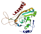 Acyl Coenzyme A Wax Alcohol Acyltransferase 2 (AWAT2)