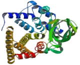 Acyl Coenzyme A Dehydrogenase, Long Chain (ACADL)