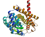 Acyl Coenzyme A Dehydrogenase, Short/Branched Chain (ACADSB)