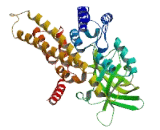 Acyl Coenzyme A Dehydrogenase Family, Member 10 (ACAD10)