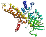 Acyl Coenzyme A Dehydrogenase Family, Member 11 (ACAD11)