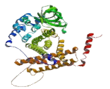 Acyl Coenzyme A Dehydrogenase Family, Member 9 (ACAD9)