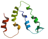 Acyl Malonyl Condensing Enzyme 1 (AMAC1)