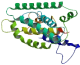 Acyl Malonyl Condensing Enzyme 1 Like Protein 1 (AMAC1L1)