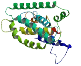 Acyl Malonyl Condensing Enzyme 1 Like Protein 2 (AMAC1L2)