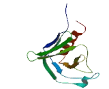 Adaptin Ear Binding Coat Associated Protein 2 (NECAP2)