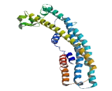 Adaptor Related Protein Complex 1 Associated Regulatory Protein (AP1AR)